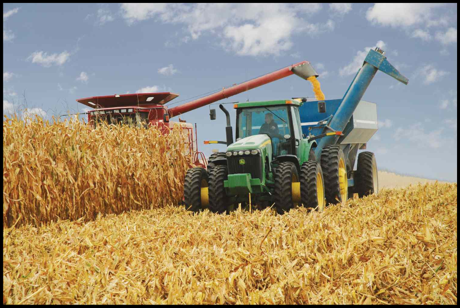 Subida da energia reflete-se nas matérias-primas agrícolas