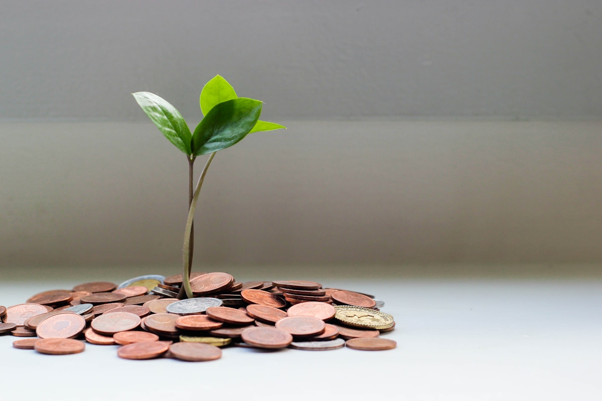 Cash flow and working capital